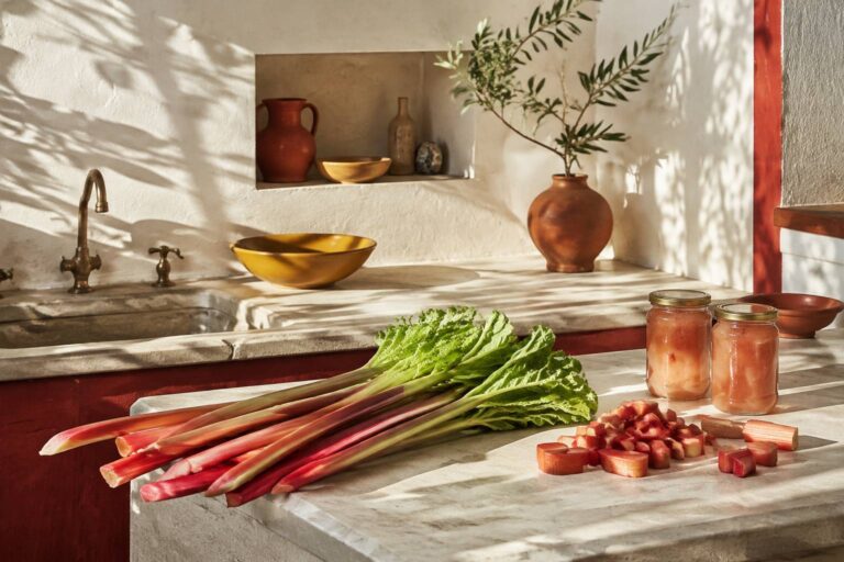 Compote de rhubarbe : sucre, cuisson et conservation
